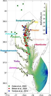 Estuaries as Filters for Riverine Microplastics: Simulations in a Large, Coastal-Plain Estuary